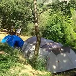Mobil 6 Pers Avec Terrasse A - Api-1-52-314 Campingplatz *