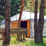 Mobil 6 Pers Avec Terrasse A - Api-1-52-314 Campingplatz Fenouillet (Pyrenees-Orientales)